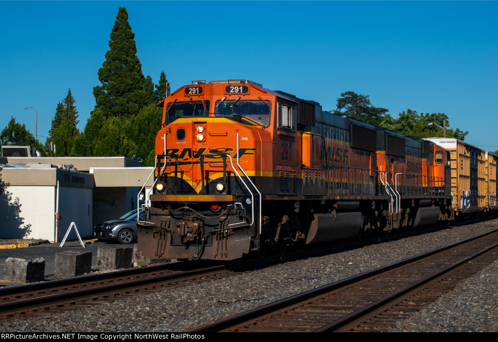 BNSF 291